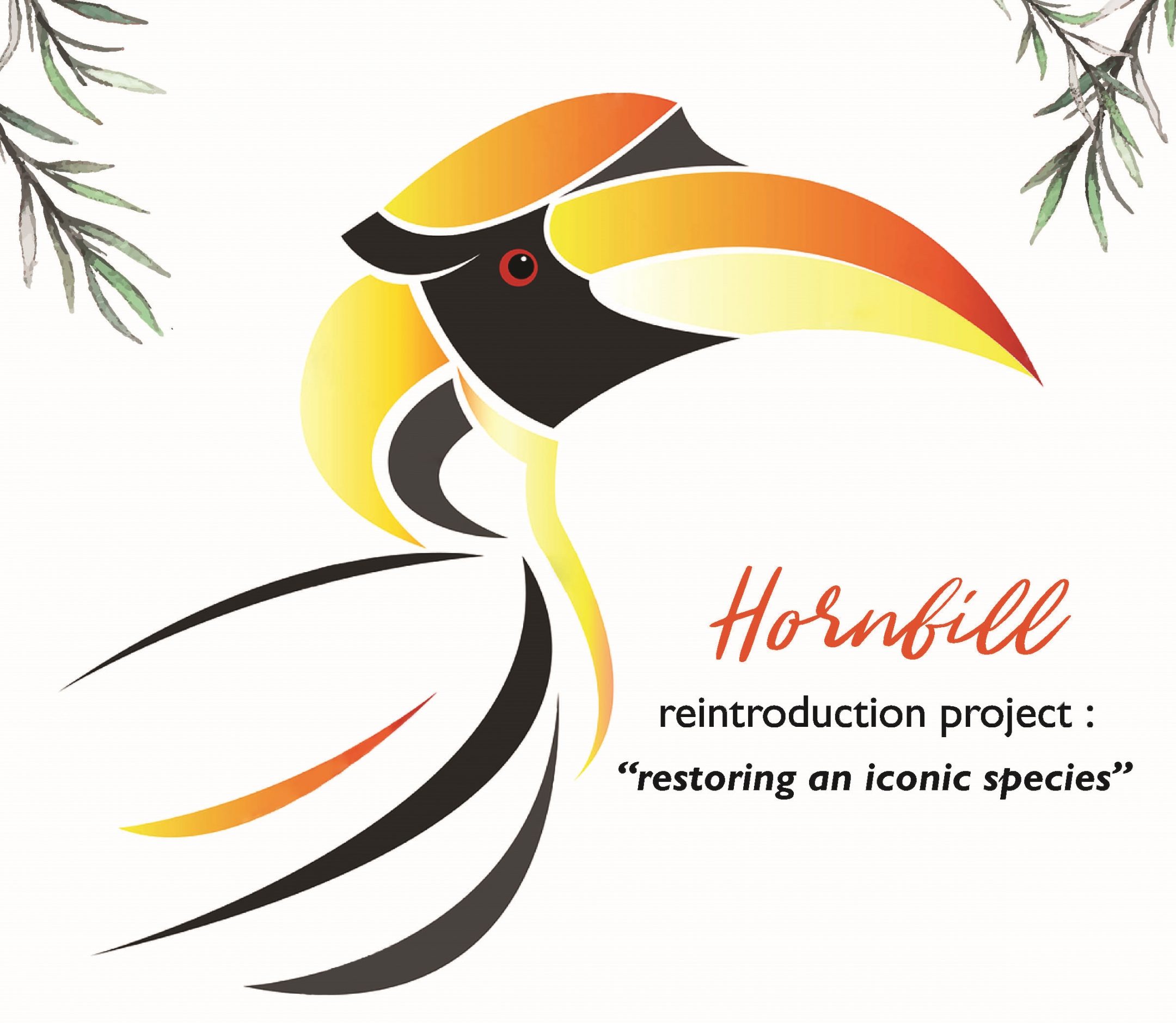 Hornbill Reintroduction Project Launch