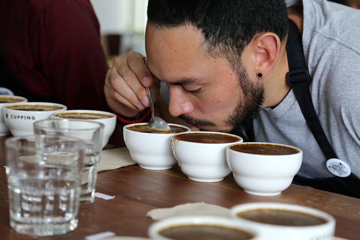 Chiang Mai, Chiang Rai Dominate First Ever Thailand Excellent Coffee