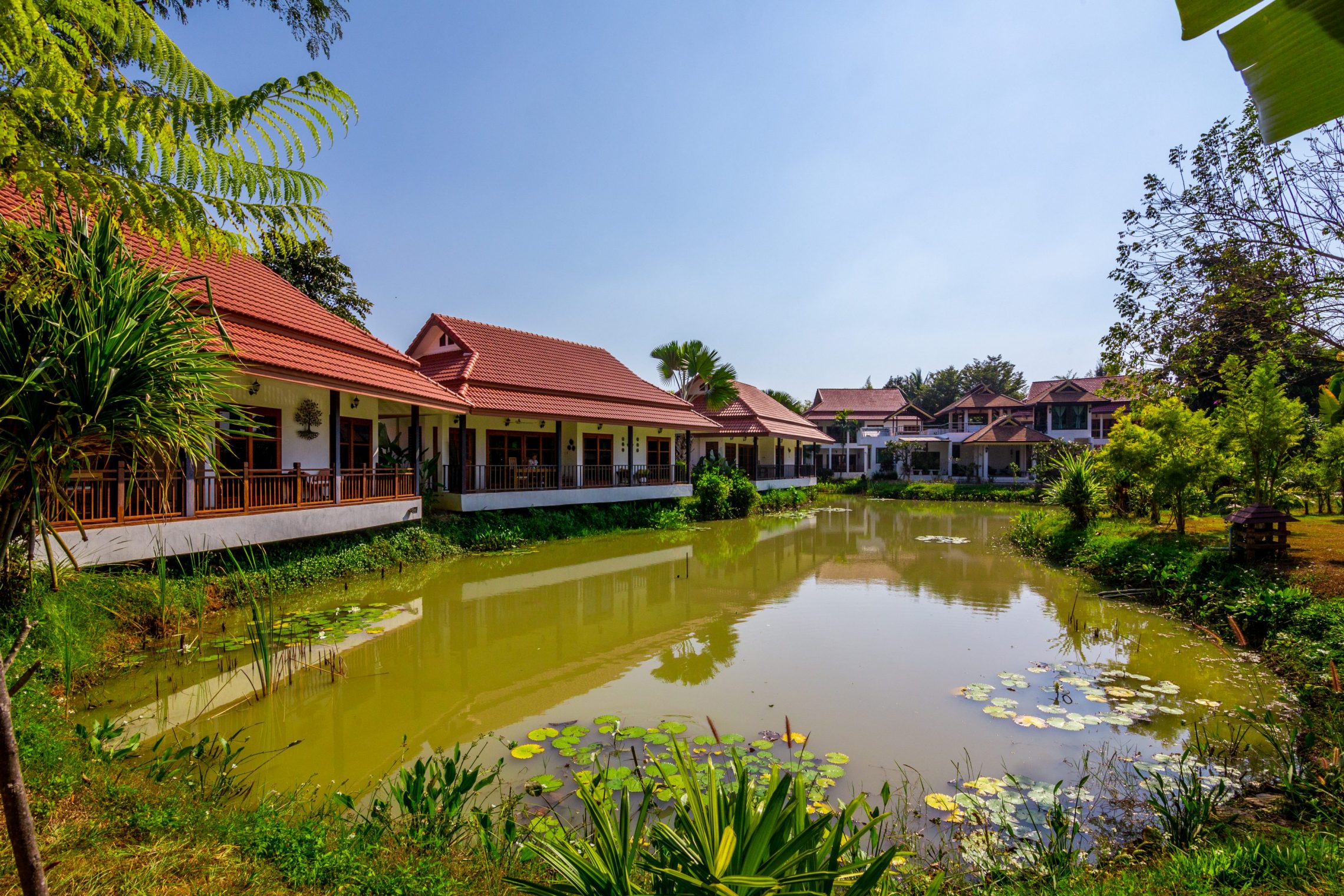 Exotic Cuisine from the city at Jasmine Hills Lodge